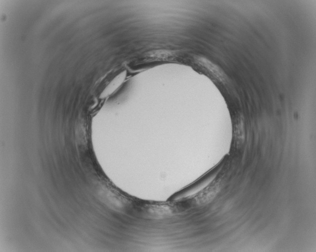 X0000064040572200602242323