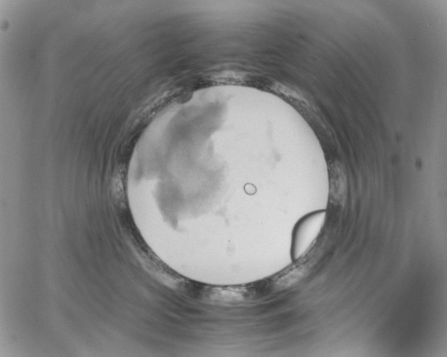 X0000064040573200602242323