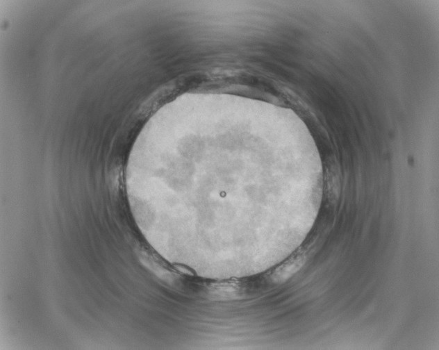 X0000064040574200602242323