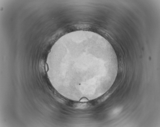 X0000064040575200602242323