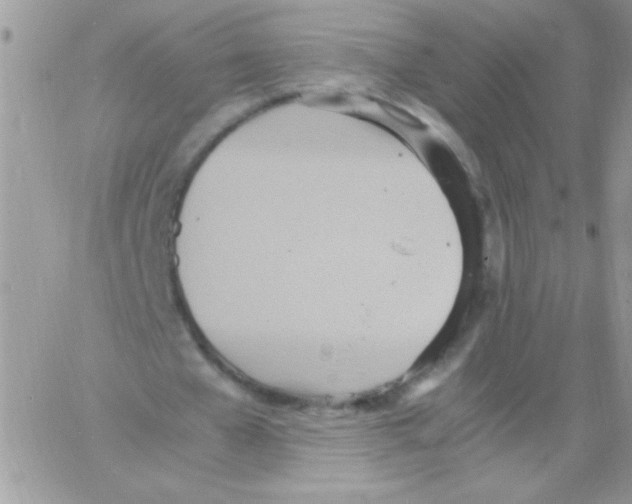 X0000064040577200602242323