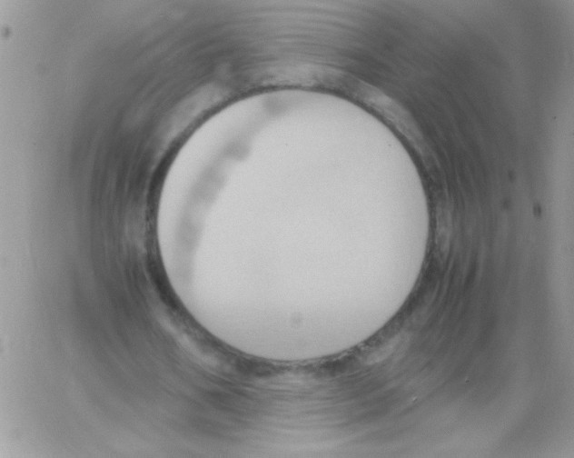 X0000064040578200602242323