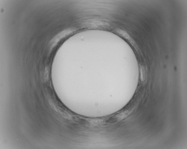 X0000064040579200602242323