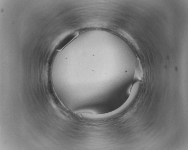 X0000064040580200602242323