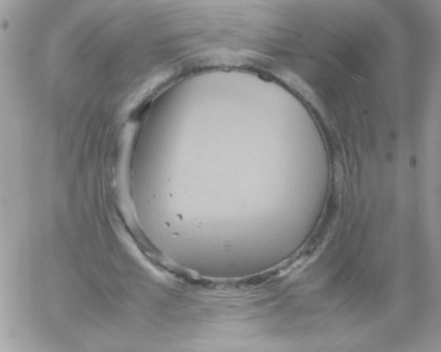 X0000064040581200602242323