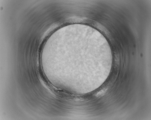 X0000064040582200602242323