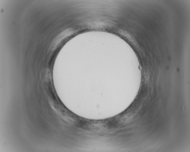 X0000064040583200602242323