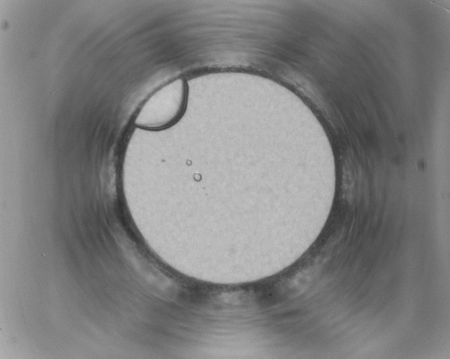 X0000064040584200602242323