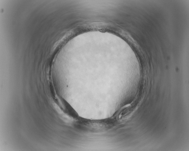 X0000064040585200602242323