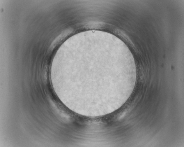 X0000064040586200602242322