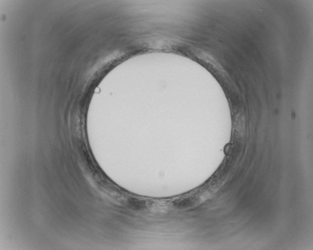 X0000064040587200602242322