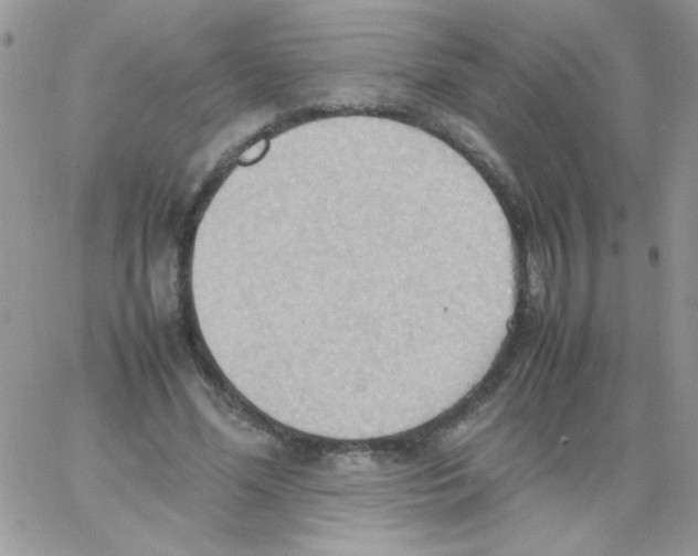 X0000064040588200602242322