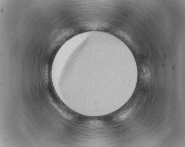 X0000064040590200602242322