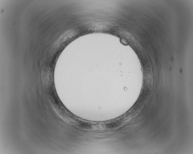 X0000064040591200602242322