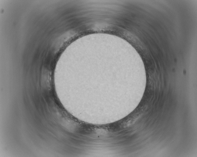 X0000064040592200602242322