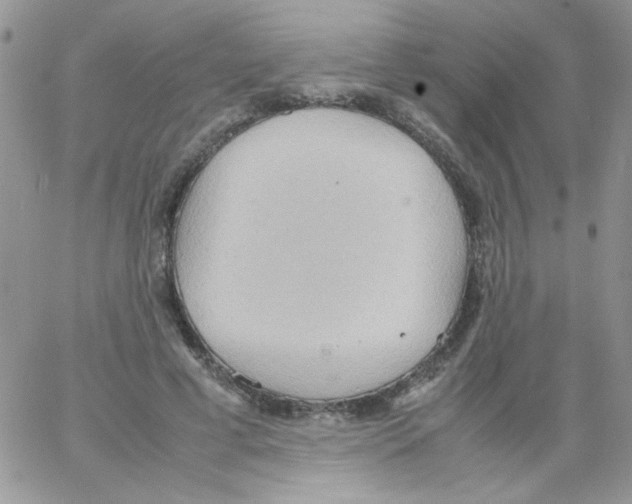 X0000064040593200602242322