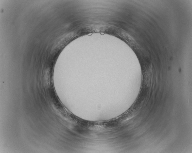 X0000064040594200602242322