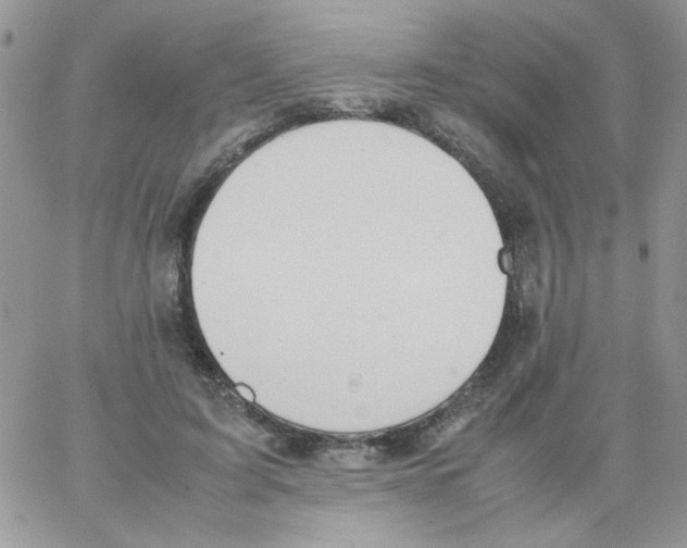 X0000064040595200602242322