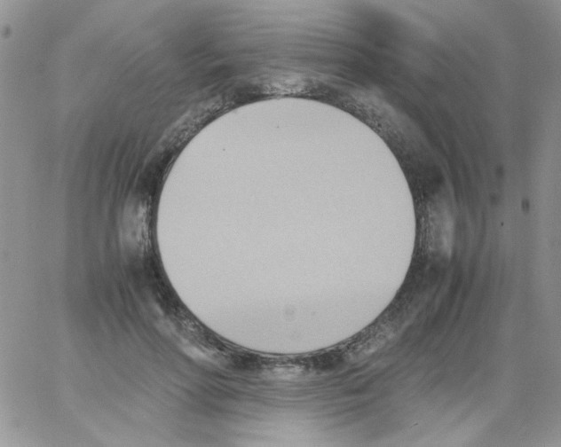 X0000064040598200602242322