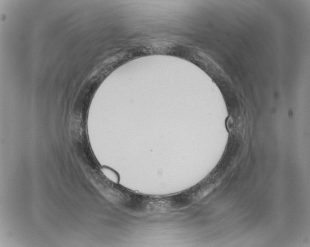 X0000064040599200602242322