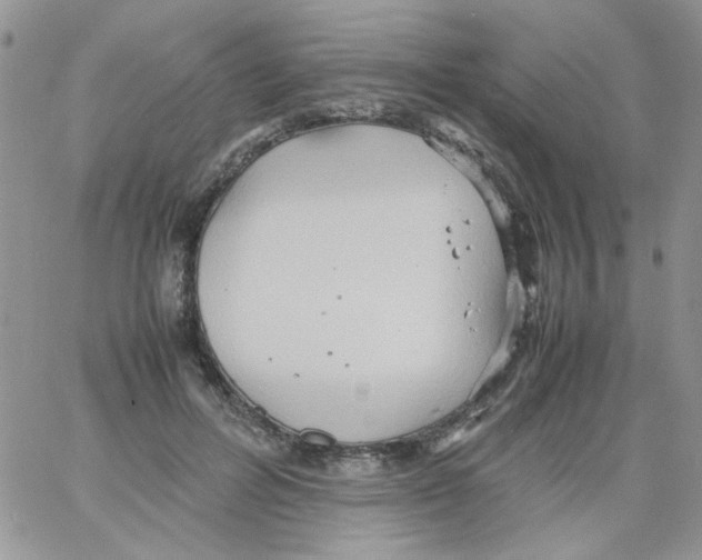 X0000064040600200602242322