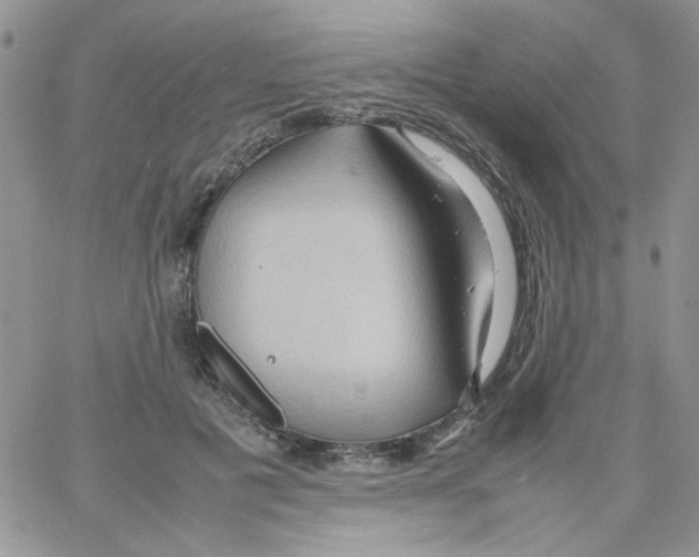 X0000064040601200602242322