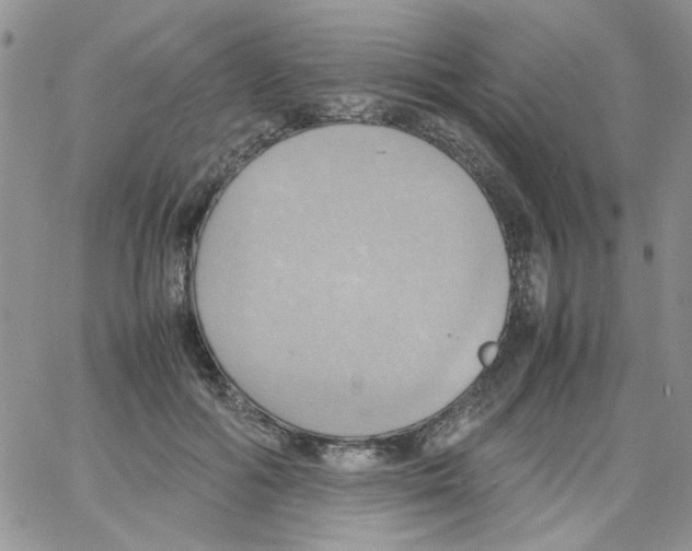 X0000064040602200602242322