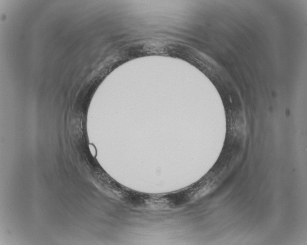 X0000064040603200602242322