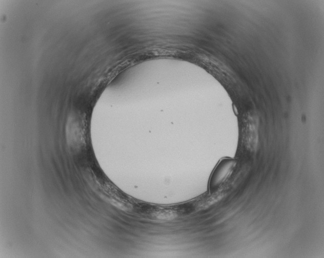 X0000064040604200602242322