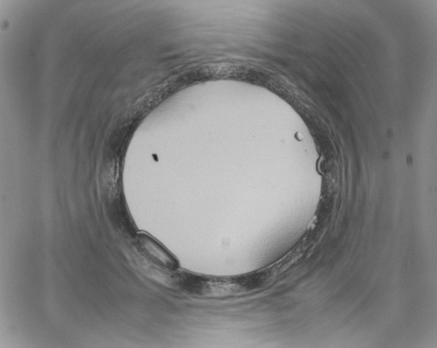 X0000064040605200602242322