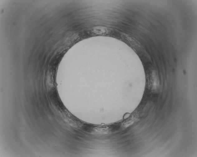 X0000064040606200602242322