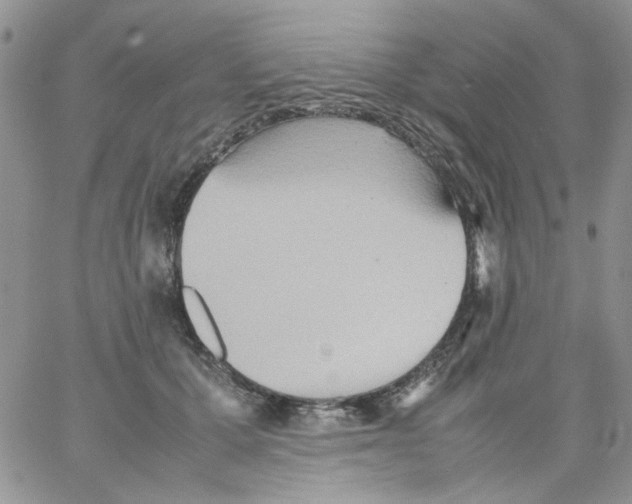 X0000064040607200602242322