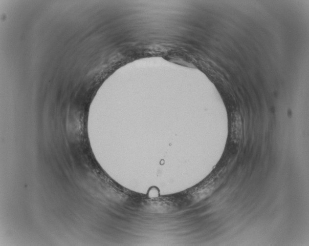 X0000064040608200602242322