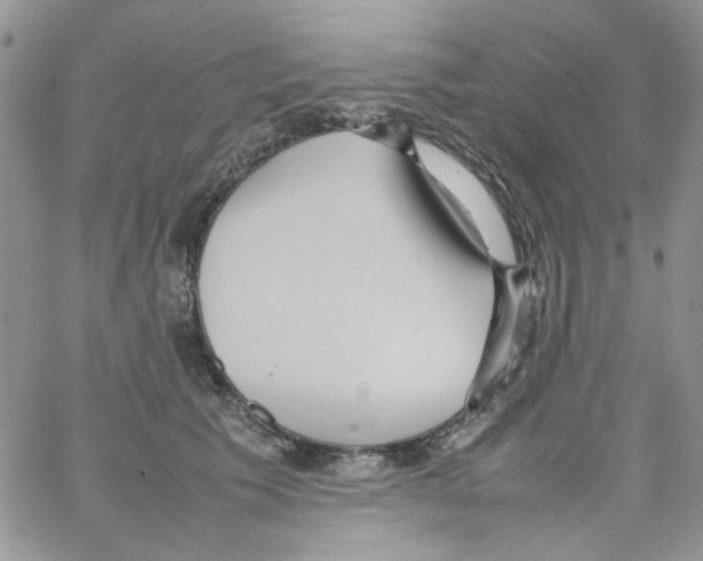 X0000064040609200602242322