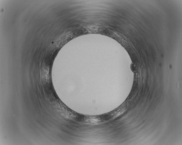 X0000064040610200602242322