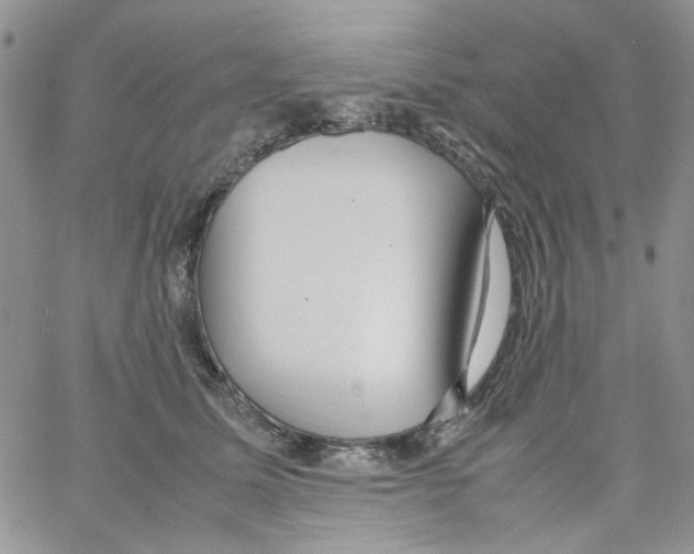 X0000064040611200602242322