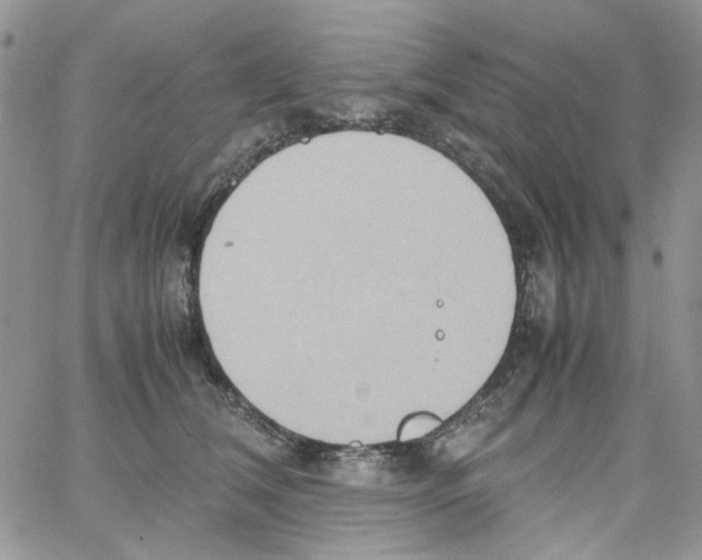 X0000064040612200602242322