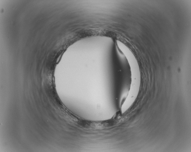 X0000064040613200602242322