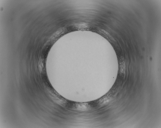 X0000064040618200602242322