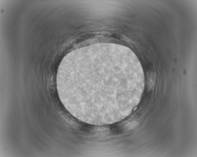 X0000064040619200602242322