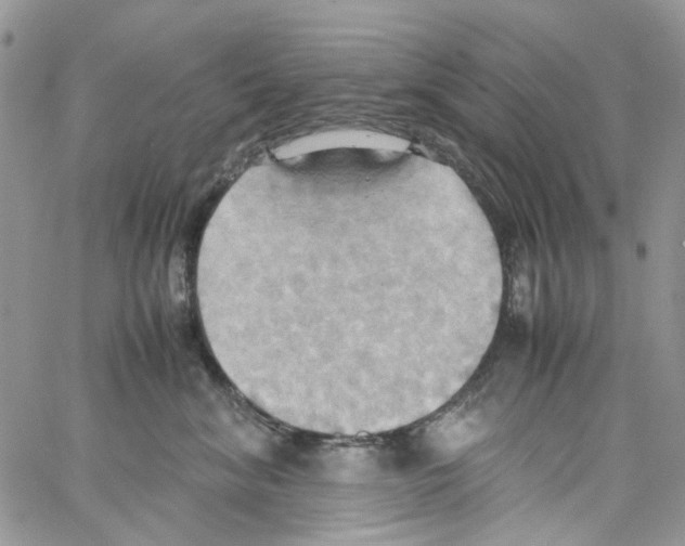 X0000064040620200602242322