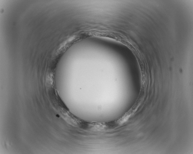 X0000064040621200602242322