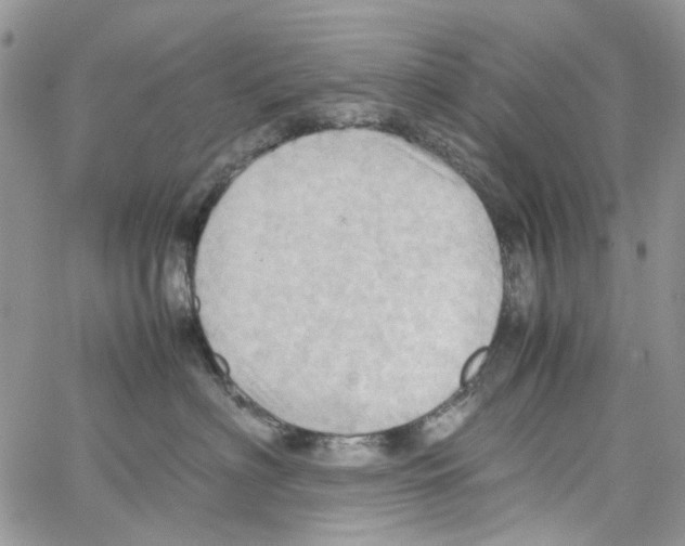 X0000064040622200602242322