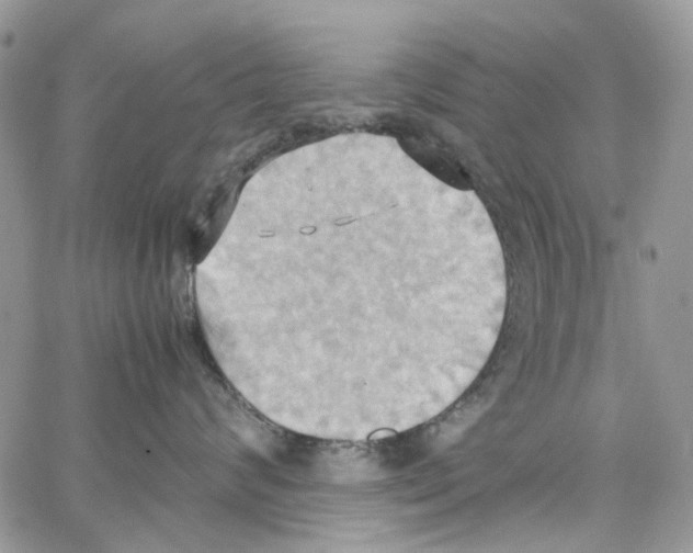 X0000064040624200602242322