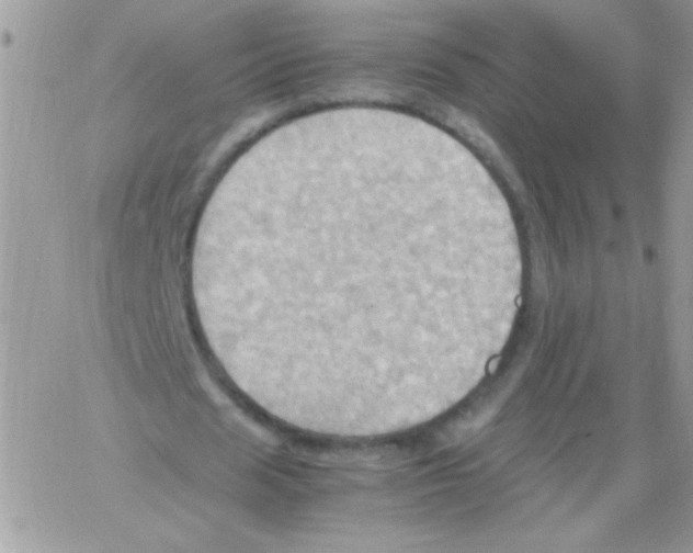 X0000064040625200602242321