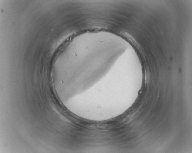 X0000064040627200602242321