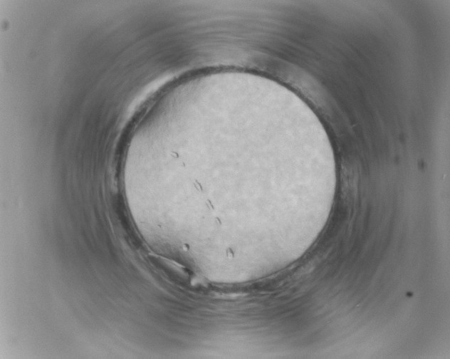 X0000064040628200602242321