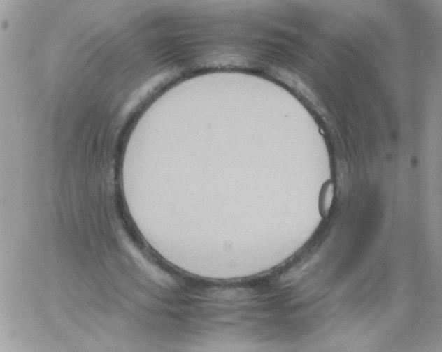 X0000064040629200602242321