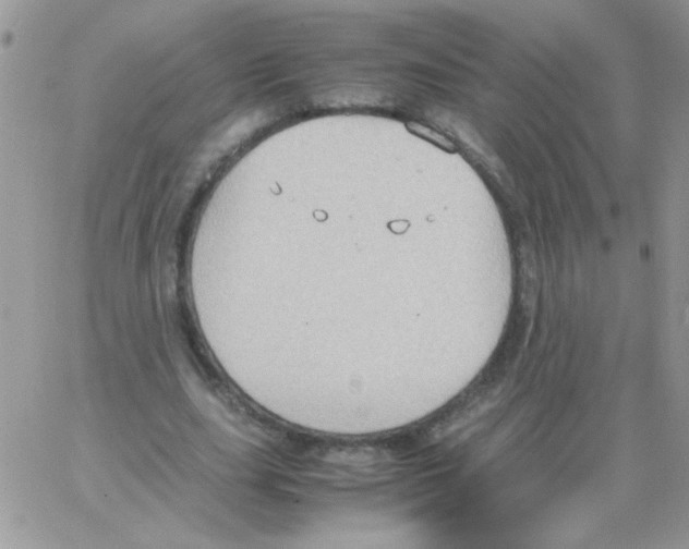 X0000064040631200602242321