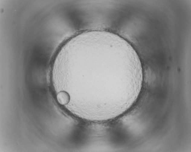 X0000064040632200602242321